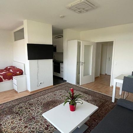 1,5 Zimmerwohnung In Heidelberg Exteriér fotografie